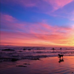 Meet your Posher, Kushi